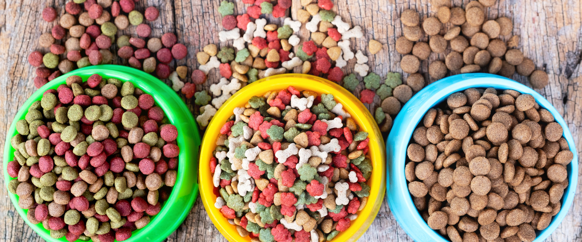 What dog food attracts dogs?