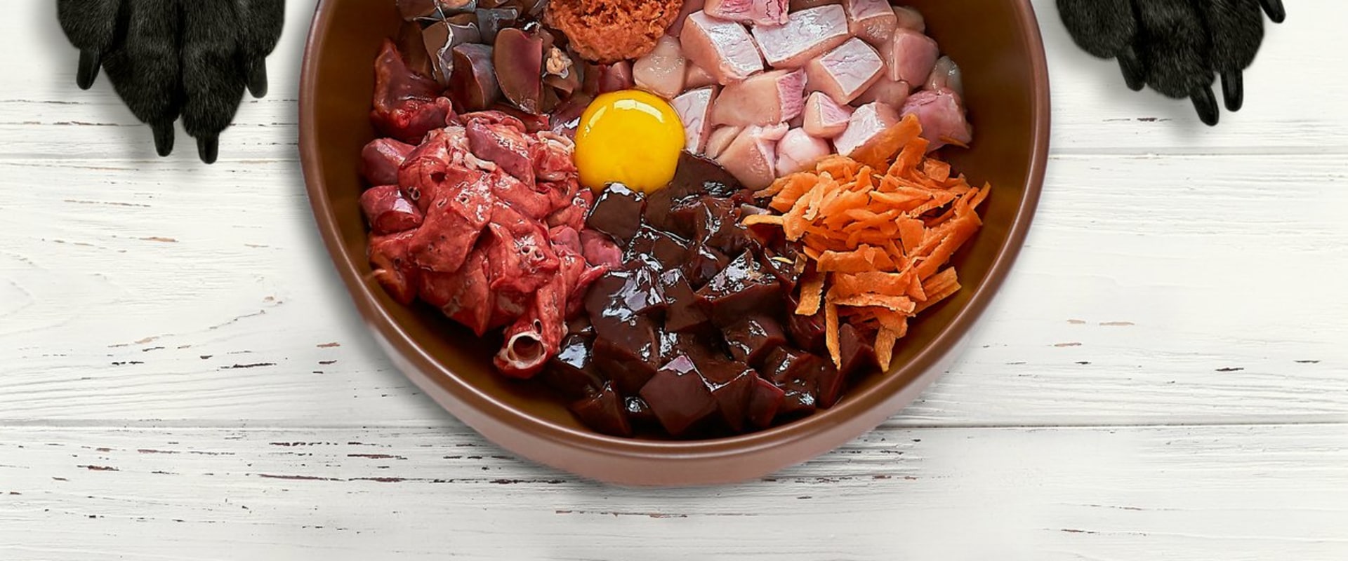 The Benefits of the BARF Diet for Dogs