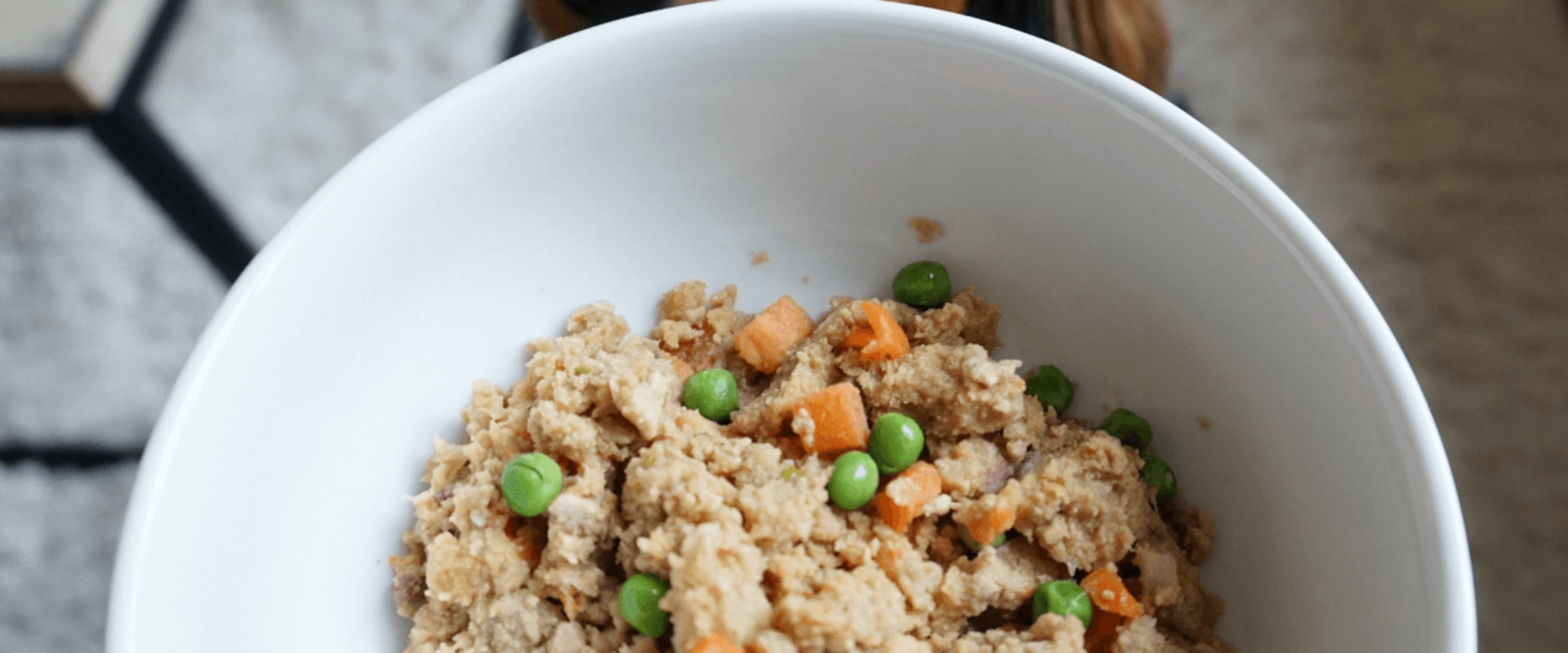 Is dog food better with or without grains?