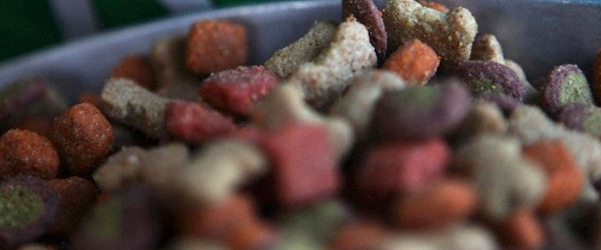 What dog food brand is killing dogs?